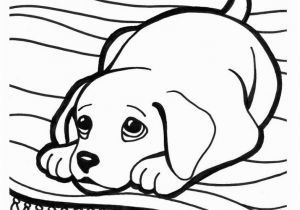 Golden Retriever Cute Puppy Coloring Pages Golden Retriever Puppy Drawing at Getdrawings
