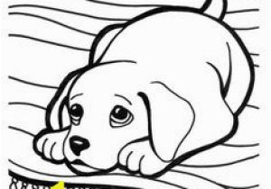 Golden Retriever Puppy Coloring Pages 13 Best Ausmalbilder Hunde Images