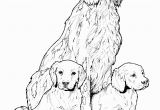 Golden Retriever Puppy Coloring Pages Pin On Colorings