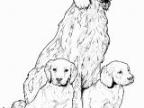 Golden Retriever Puppy Coloring Pages Pin On Colorings