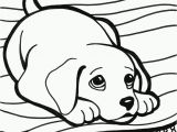 Golden Retriever Puppy Coloring Pages Pinterest