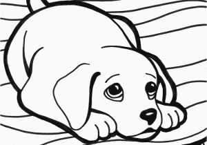 Golden Retriever Puppy Coloring Pages Pinterest
