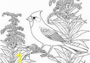 Goldenrod Coloring Page 102 Best Adult Coloring Pages Images On Pinterest In 2018