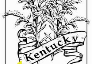 Goldenrod Coloring Page 158 Best State Coloring Pages and Embroidery Images On Pinterest