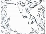 Goldenrod Coloring Page Humming Bird Coloring Page