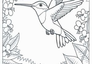 Goldenrod Coloring Page Humming Bird Coloring Page