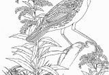 Goldenrod Coloring Page Meadowlark and Wild Sunflower Kansas State Bird and Flower