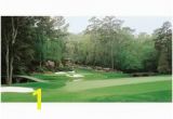 Golf Wall Murals Augusta 12 Best Augusta Golf Images