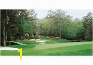 Golf Wall Murals Augusta 12 Best Augusta Golf Images