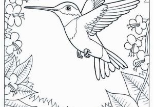 Goods and Services Coloring Pages Humming Bird Coloring Page