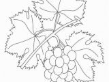 Grape Coloring Pages to Print Coloring Page Grapevine Quilling