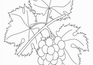 Grape Coloring Pages to Print Coloring Page Grapevine Quilling