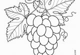 Grape Coloring Pages to Print Grapes with Leaves Fruits and Berries Coloring Pages for