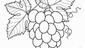 Grape Coloring Pages to Print Grapes with Leaves Fruits and Berries Coloring Pages for