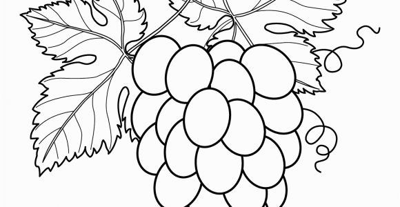 Grape Coloring Pages to Print Grapes with Leaves Fruits and Berries Coloring Pages for