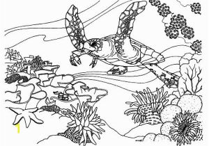 Great Barrier Reef Fish Coloring Page Coral Reef Fish Coral Reef Fish Ecosystem Coloring