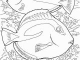 Great Barrier Reef Fish Coloring Page Great Barrier Reef Coloring Book From Dover Publications