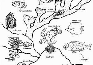 Great Barrier Reef Fish Coloring Page Great Barrier Reef Coloring Download Great Barrier Reef