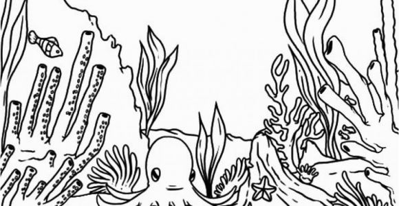 Great Barrier Reef Fish Coloring Page Great Barrier Reef Coloring Page at Getdrawings