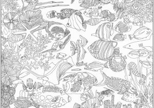 Great Barrier Reef Fish Coloring Page Great Barrier Reef Coloring Pages Bing Images