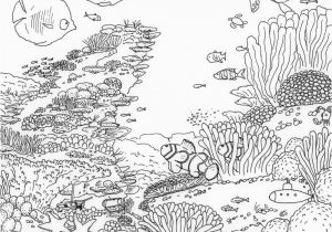 Great Barrier Reef Fish Coloring Page Great Barrier Reef Coloring Pages Sketch Coloring Page