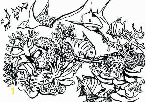 Great Barrier Reef Fish Coloring Page Great Barrier Reef Drawing at Getdrawings