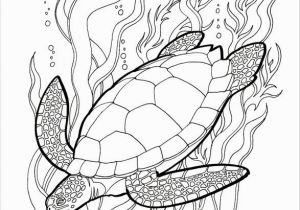 Great Barrier Reef Fish Coloring Page Great Barrier Reef Drawing at Getdrawings