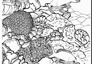 Great Barrier Reef Fish Coloring Page Great Barrier Reef Drawing at Getdrawings