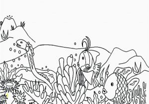 Great Barrier Reef Fish Coloring Page Great Barrier Reef Drawing at Paintingvalley