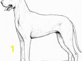 Great Dane Coloring Pages Christmas Coloring Sheets for Kindergarten Tag Free
