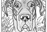 Great Dane Coloring Pages Free Printable Great Dane Coloring Page Available for