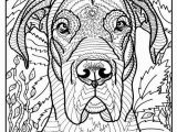 Great Dane Coloring Pages Free Printable Great Dane Coloring Page Available for