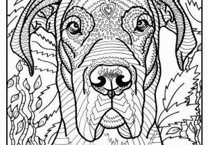 Great Dane Coloring Pages Free Printable Great Dane Coloring Page Available for