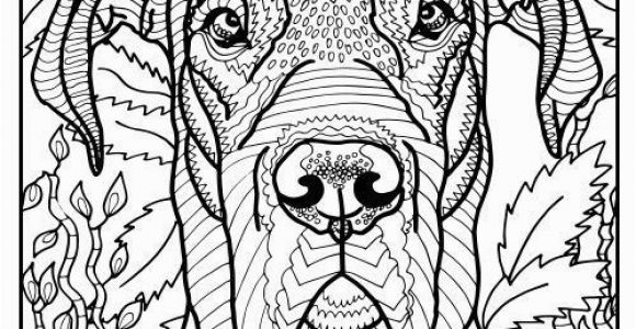 Great Dane Coloring Pages Free Printable Great Dane Coloring Page Available for