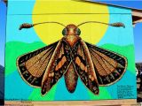 Great Mural Wall Of topeka 10 Endangered Species Murals Connect Munities to the