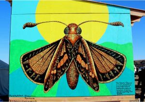 Great Mural Wall Of topeka 10 Endangered Species Murals Connect Munities to the