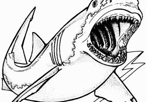 Great White Shark Coloring Pages for Realistic Sea Animal Coloring Pages Shark