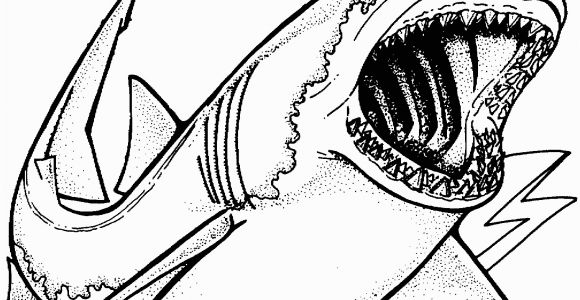 Great White Shark Coloring Pages for Realistic Sea Animal Coloring Pages Shark