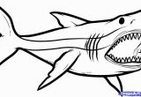 Great White Shark Coloring Pages Great White Shark Coloring Pages New How to Draw Megalodon Megalodon