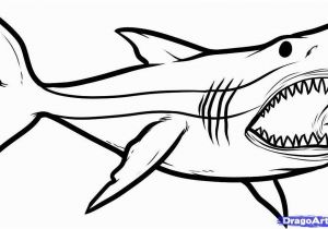 Great White Shark Coloring Pages Great White Shark Coloring Pages New How to Draw Megalodon Megalodon