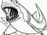 Great White Shark Coloring Pages Shark Coloring Page Great White Shark Coloring Pages Awesome Bull