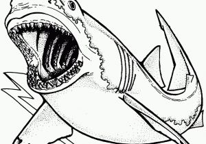 Great White Shark Coloring Pages Shark Coloring Page Great White Shark Coloring Pages Awesome Bull