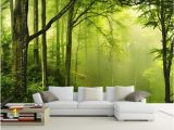 Green forest Wall Mural Any Size Fresh Green forest Nature Tv Backdrop Wall Mural 3d Wallpaper 3d Wall Papers for Tv Backdrop Canada 2019 From Wallpaper Cad