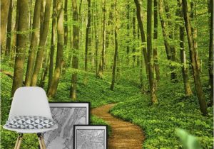 Green forest Wall Mural Green forest Path Wall Mural Wallpaper forest