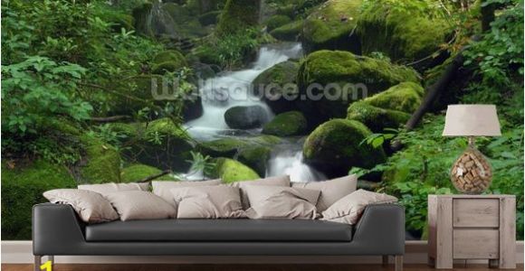 Green forest Wall Mural Mossy Waterfall In 2019