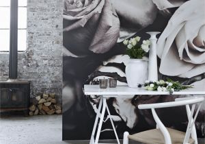 Grey Petals Wall Mural Roses I Mural by Patric Shaw