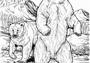 Grizzly Bear Coloring Pages Angry Grizzly Bear Coloring Pages Free & Printable Coloring