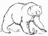 Grizzly Bear Coloring Pages Best Grizzly Bears Coloring Pages Design