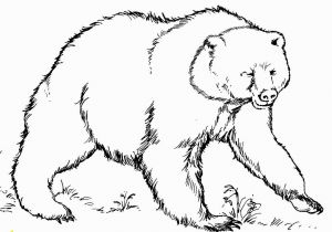 Grizzly Bear Coloring Pages Best Grizzly Bears Coloring Pages Design