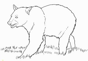 Grizzly Bear Coloring Pages Free Printable Bear Coloring Pages for Kids